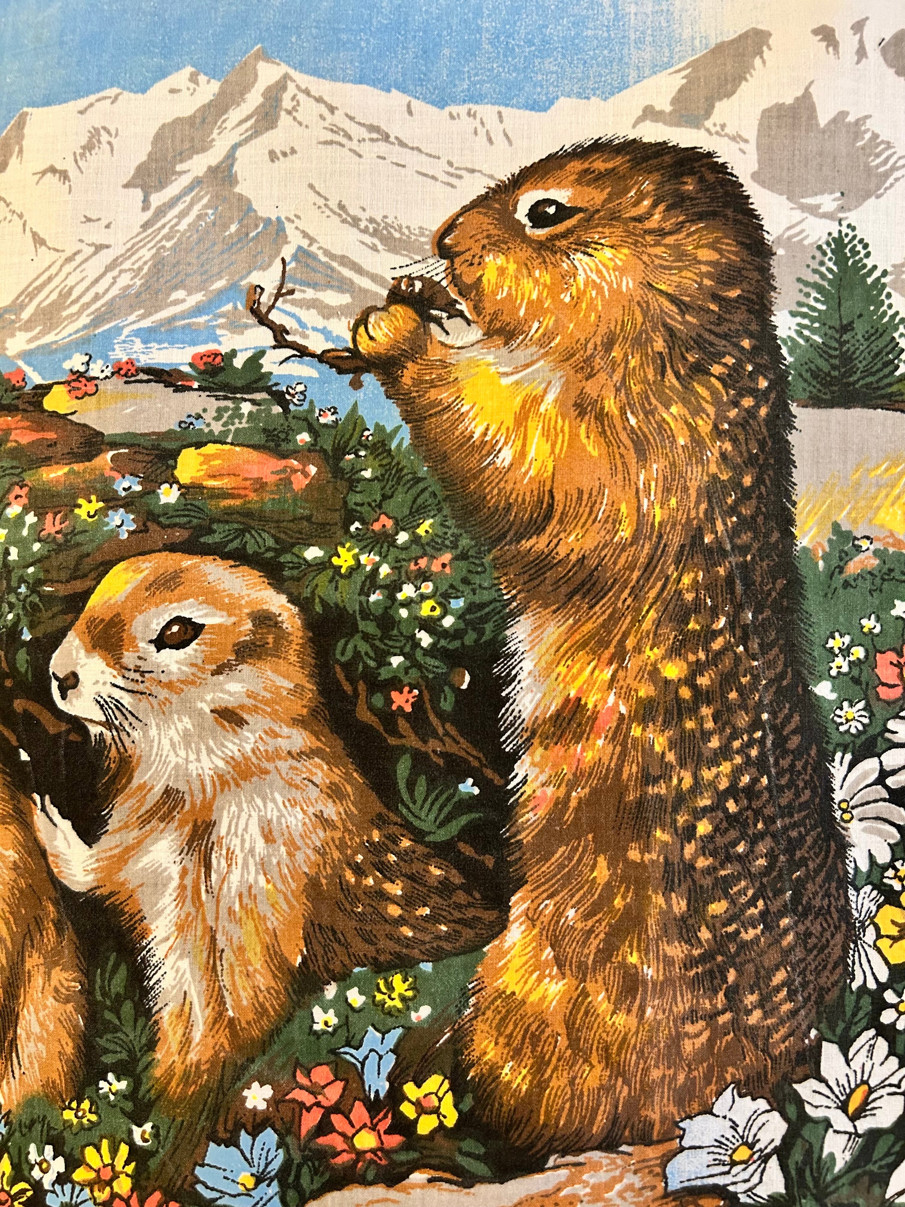 T-shirt « Les marmottes » Calendrier 1977 - Précommande